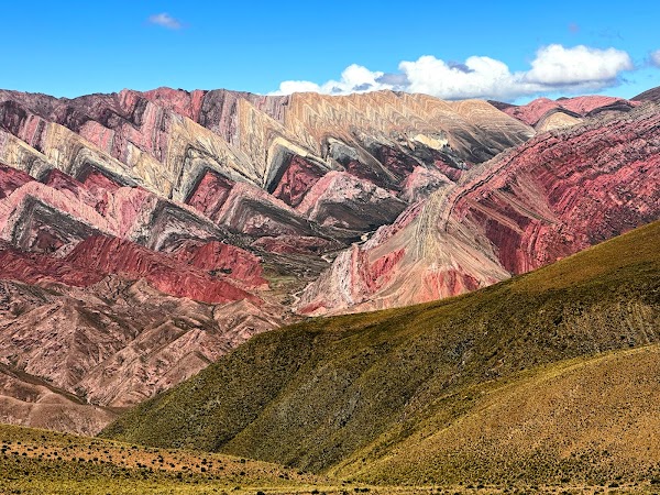 Hornocal