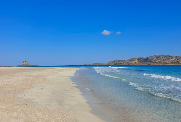 Spiaggia La Pelosa 1