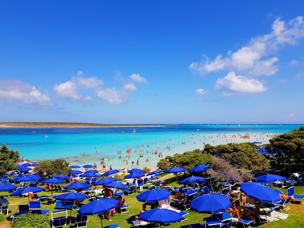 Spiaggia La Pelosa 4