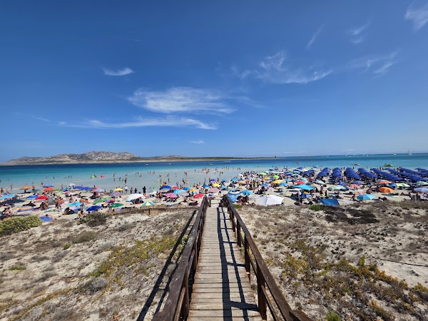 Spiaggia La Pelosa 3