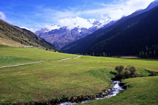 Graun im Vinschgau