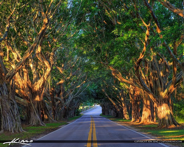 Hobe Sound