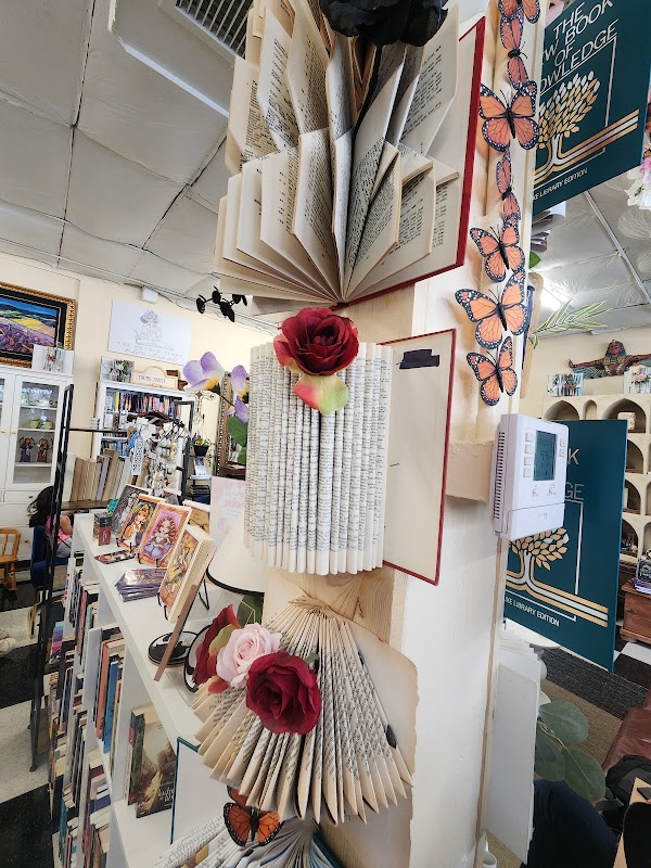 The Untold Story Bookstore 4