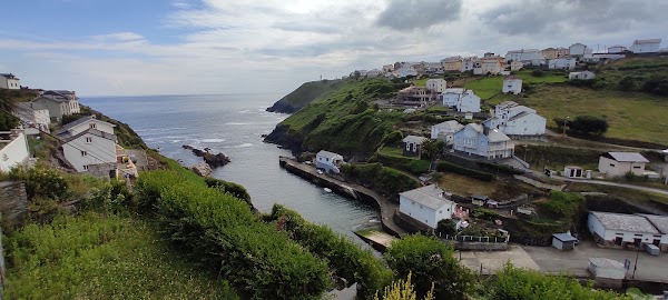 Ortiguera
