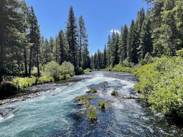 Wizard Falls Fish Hatchery