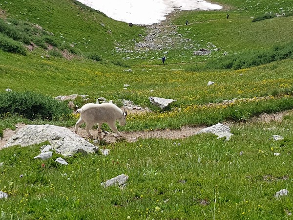 Buckskin Pass 2