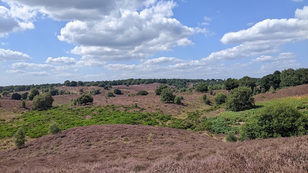 Herikhuizerveld 1