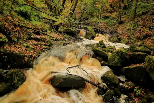 Padley Gorge Trail