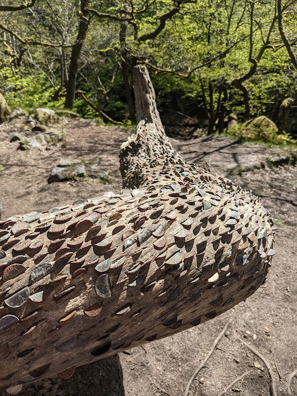 Padley Gorge Trail 4