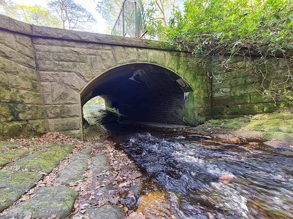 Padley Gorge Trail 3