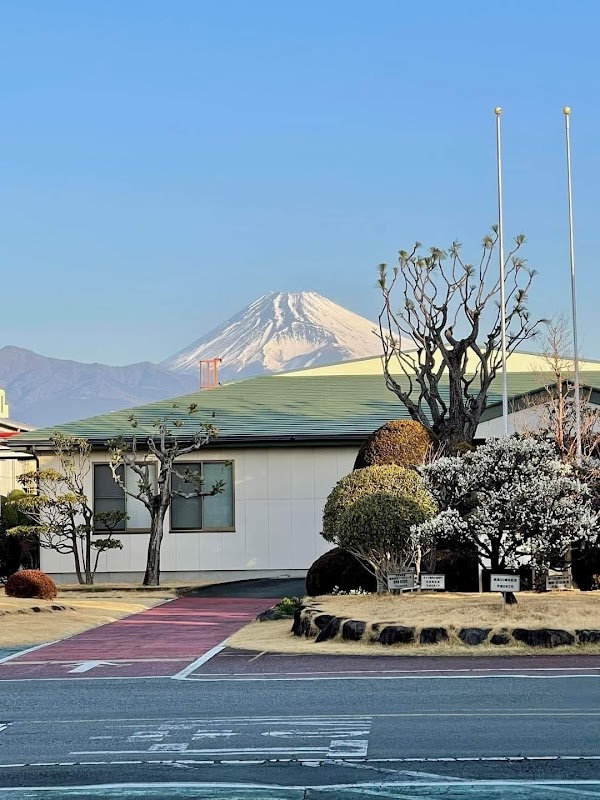 Mishima 1