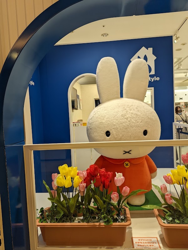 miffy style Solamachi 4