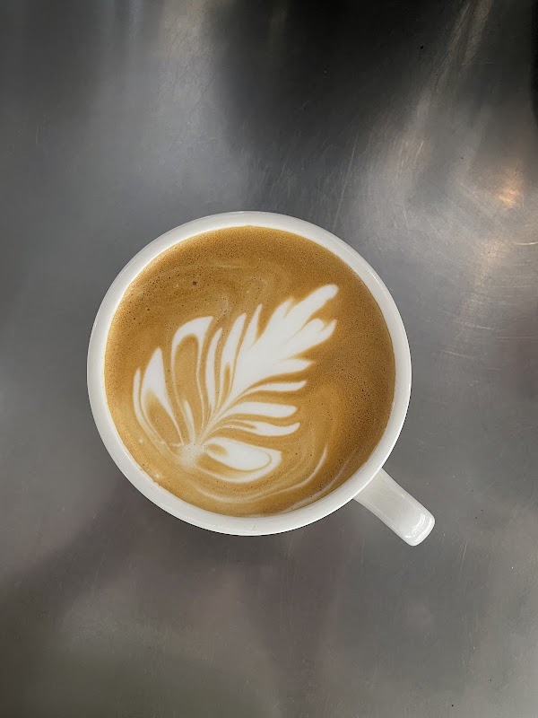 Kactus Koffee 4