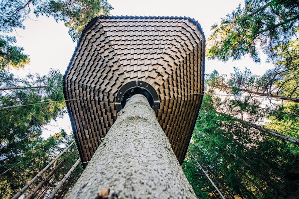 Woodnest 4