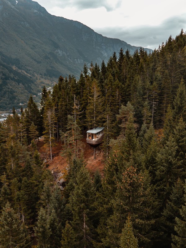 Woodnest 3