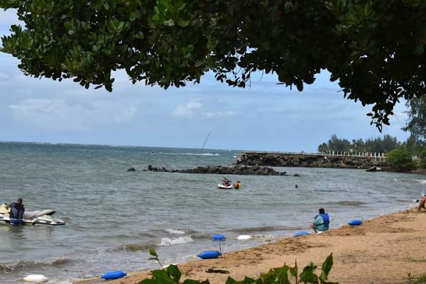 Fajardo 3