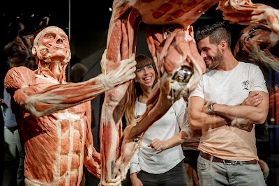 Amsterdam's Liquid Embrace: A Scenic Cruise Through the City of Canals 2