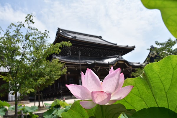 Senju-ji 2