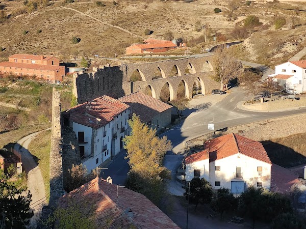 Morella