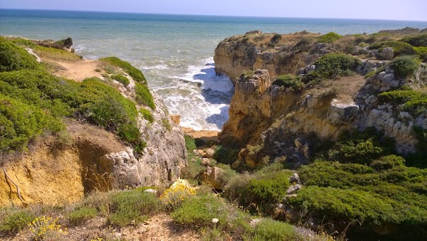 Praia do Ninho de Andorinha 4