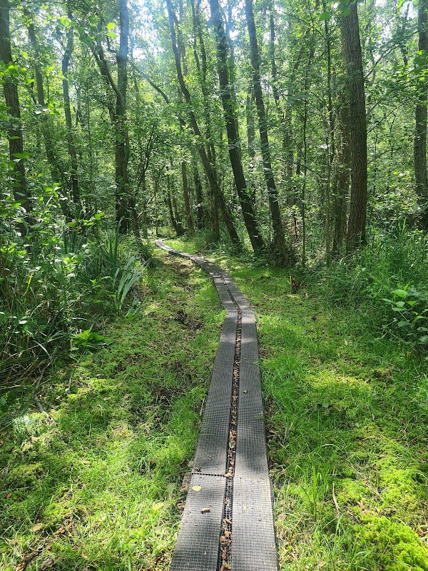 Wandelroute Laarzenpad - Naardermeer (6 km)