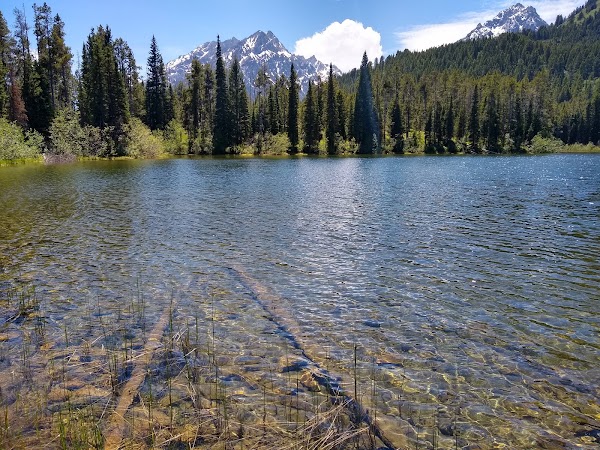Bearpaw Lake