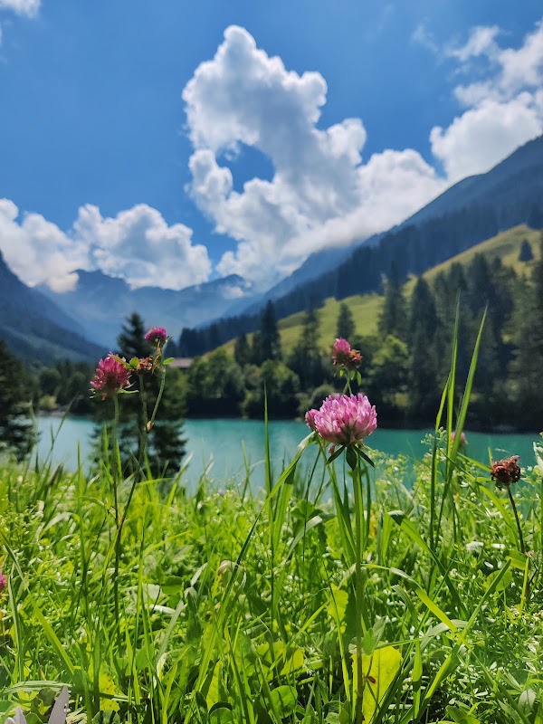 Stausee Steg 4