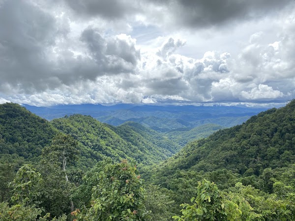 SAMOENG FOREST 1