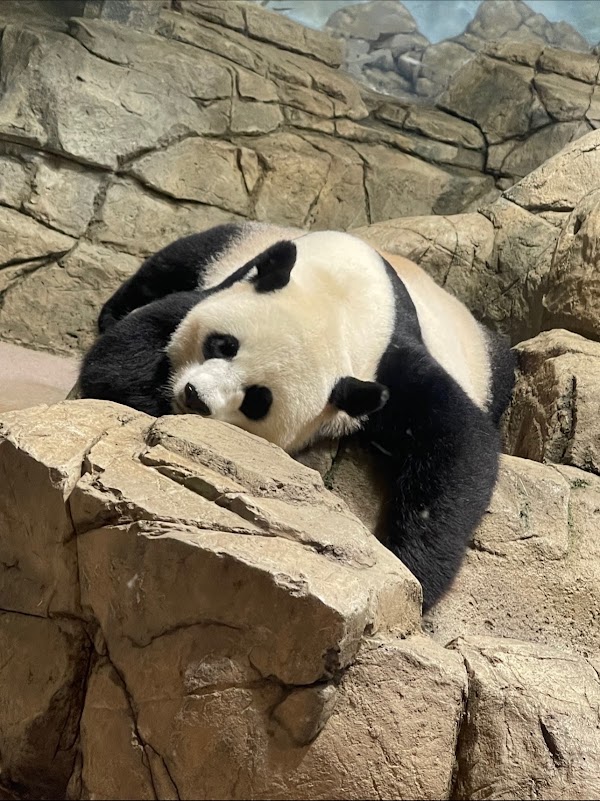 Smithsonian National Zoological Park 5