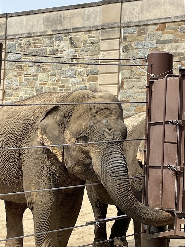 Smithsonian National Zoological Park 3