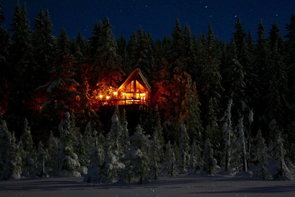 Tretopphytter - Tree Top Hut - Treehouse 1