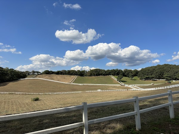 Let's Run Farm Wondang
