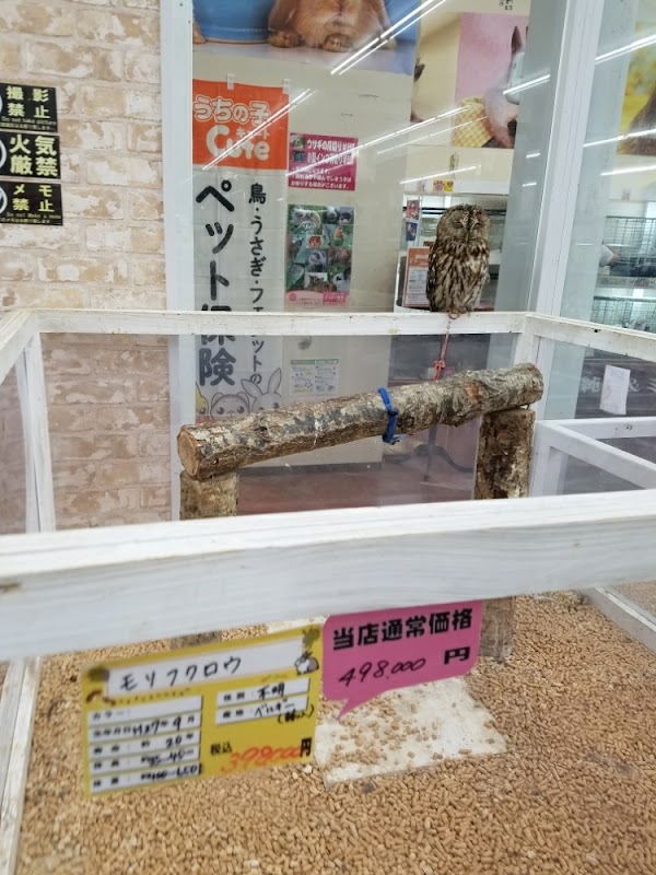 Natori 1