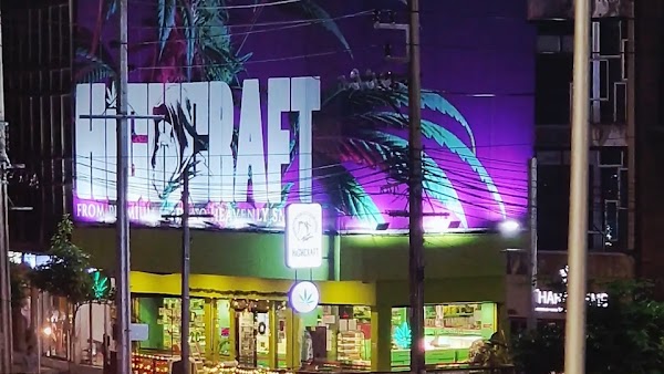 Bangkok cannabis 4