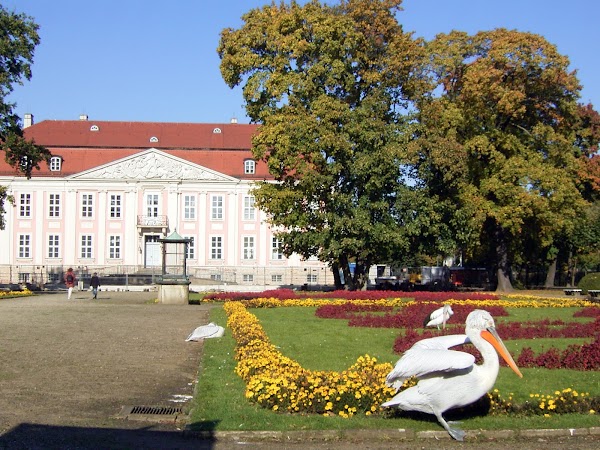 Tierpark Berlin 5