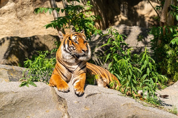 Tierpark Berlin 3