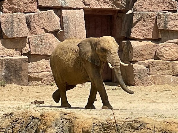 Tierpark Berlin 2