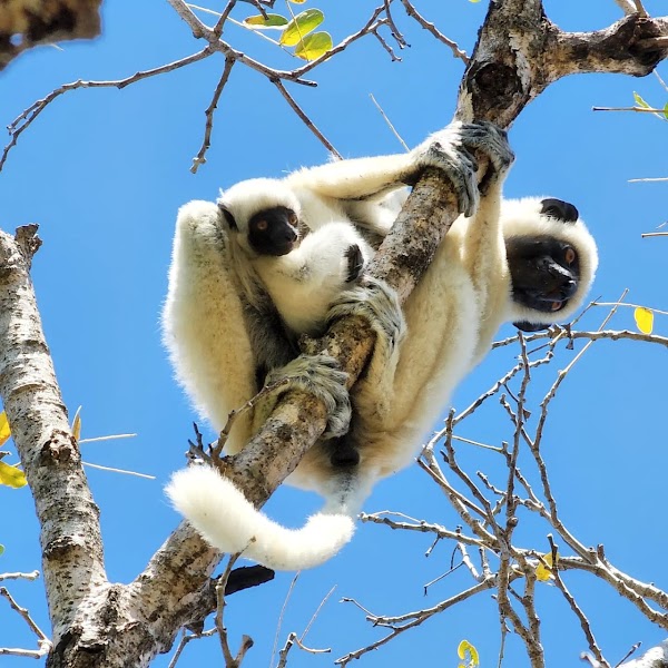 Tsingy De Bemaraha National Park 3