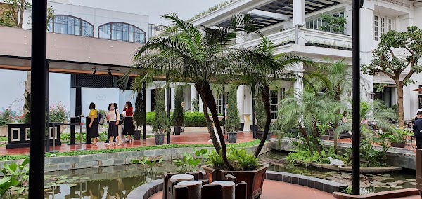 Sen Hồ Tây 5