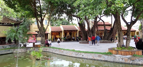 Sen Hồ Tây 3