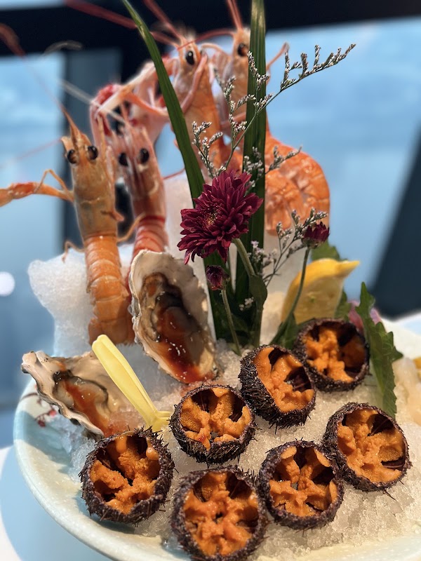 Skyfin Without Borders Cuisine
