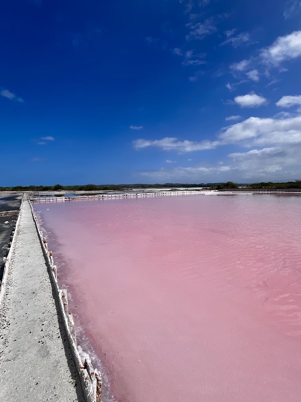 Lagunas Rosadas Y Dunas De Sal