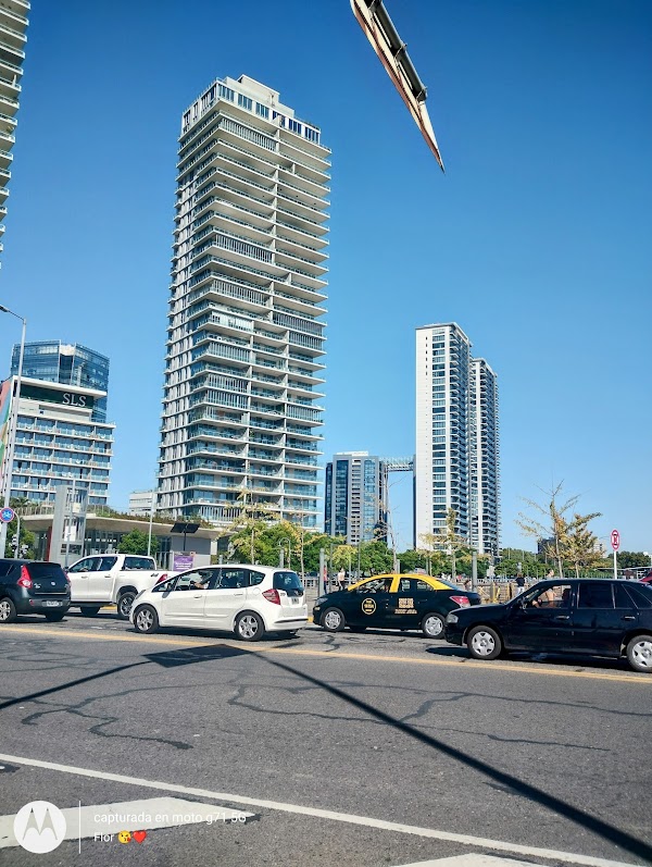 The Port of Buenos Aires