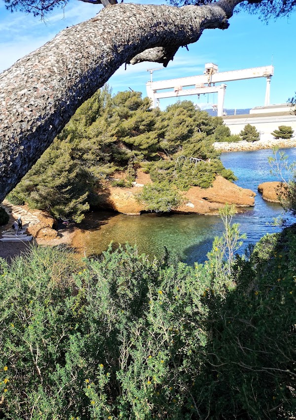 Anse du Petit Mugel 2