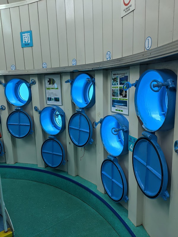 Busena Marine Park Underwater Observatory