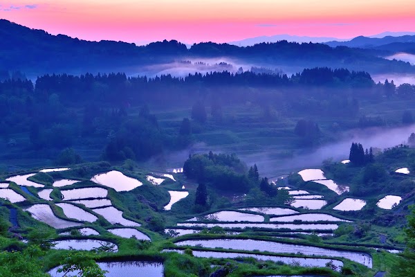 Hoshitouge Terraced Rice Field 5
