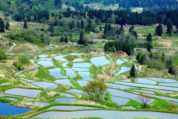 Hoshitouge Terraced Rice Field 4