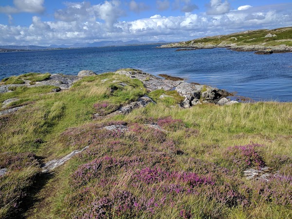 Coral Strand 5