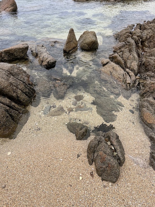Coral Strand 4
