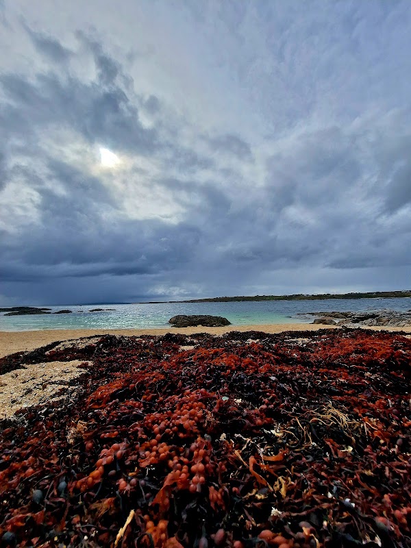 Coral Strand 3